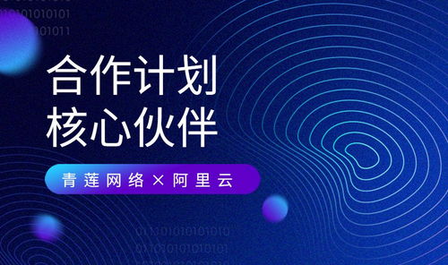青蓮網絡 攜手阿里云，共建云原生及MSP合作新生態
